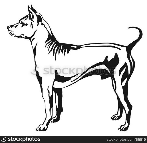 Decorative portrait of standing in profile Thai Ridgeback, vector isolated illustration in black color on white background