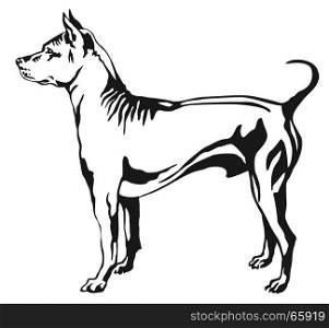 Decorative portrait of standing in profile Thai Ridgeback, vector isolated illustration in black color on white background