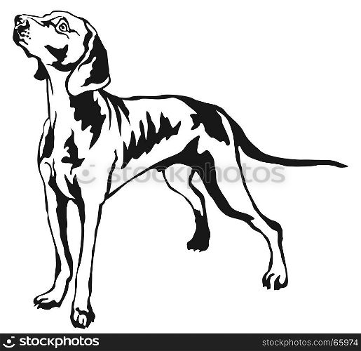 Decorative portrait of standing in profile Weimaraner, vector isolated illustration in black color on white background