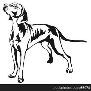 Decorative portrait of standing in profile Weimaraner, vector isolated illustration in black color on white background