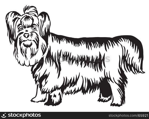 Decorative portrait of standing in profile Yorkshire Terrier, vector isolated illustration in black color on white background
