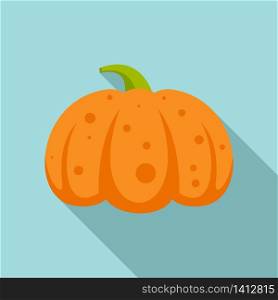 Decorative pumpkin icon. Flat illustration of decorative pumpkin vector icon for web design. Decorative pumpkin icon, flat style