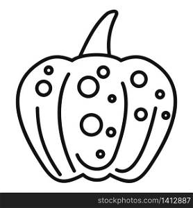 Decorative pumpkin icon. Outline decorative pumpkin vector icon for web design isolated on white background. Decorative pumpkin icon, outline style