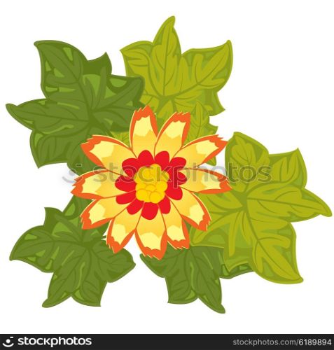 Decorative red flower with sheet on white background