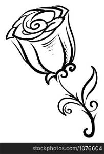 Decorative rose, illustration, vector on white background.