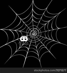Decorative spider web with cute cartoon spider illustration.