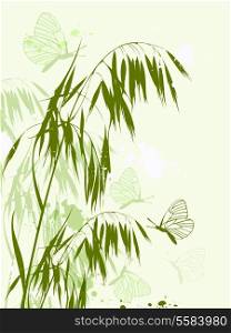 Decorative vector background with green oat and butterflies