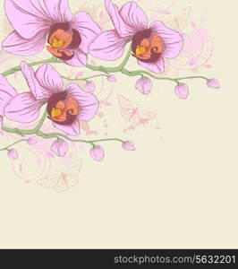 Decorative vector background with pink orchids and butterflies