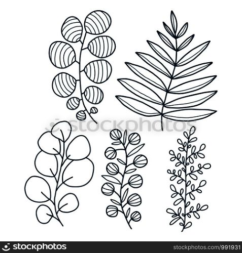 Decorative vector leaves. Botanical elements design. Leaves print collection. Decorative floral design. Decorative vector leaves. Botanical elements design. Leaves print collection. Decorative floral design.