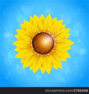 Decorative vector summer background with sunflower and blue sky
