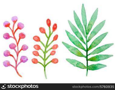 Decorative vector watercolor floral elements for design