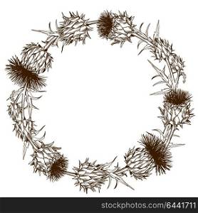 Decorative wreath with onopordum acanthium. Scottish thistle. Decorative wreath with onopordum acanthium. Scottish thistle.