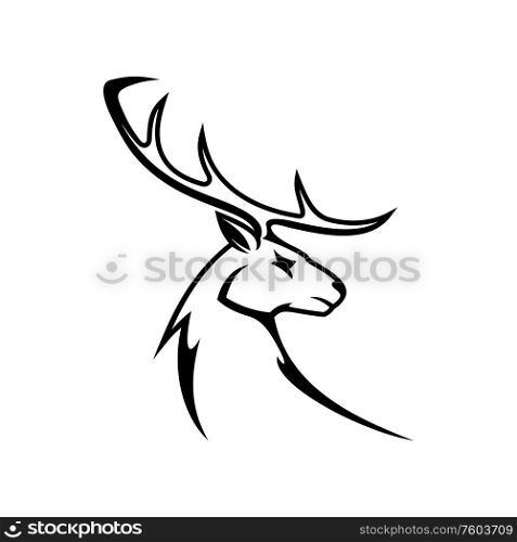Deer animal with antlers isolated profile head. Vector whitetail reindeer, elk or moose mascot. Moose or elk deer animal head isolated