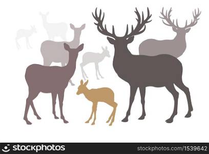 Deer family set collection silhouette style, Vector illustration wild animals deer family, Beautiful nature animal wild life in the forest, male, female, baby isolated on white background.