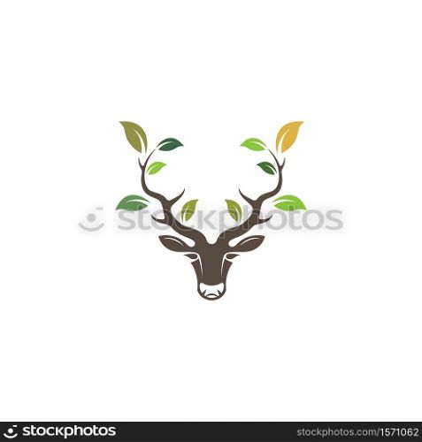 Deer head with leaf concept design icon vector illustration ilustration icon vector design template