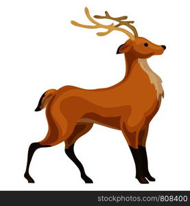 Deer icon. Cartoon of deer vector icon for web design isolated on white background. Deer icon, cartoon style