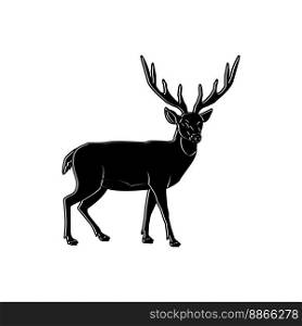 deer icon vector illustration symbol design