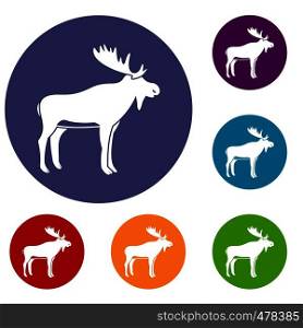 Deer icons set in flat circle red, blue and green color for web. Deer icons set