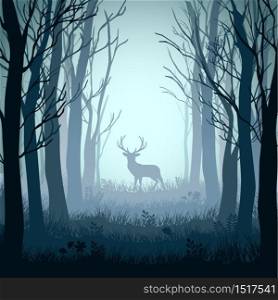 Deer in autumn misty forest background.Vector illustration