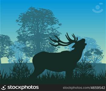 Deer in wood. The Wildlife deer in wood in the morning.Vector illustration