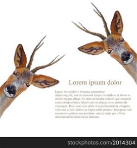 Deer Lorem Ipsum background. Watercolor forest cute animal object isolated for web, for print stock vector illustrationDeer Lorem Ipsum background. Watercolor forest cute animal object isolated for web, for print
