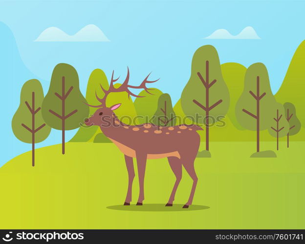 Deer on pasture vector, animal with furry coat and horns in natural park. Forest with trees and hills, reservation of environment habitat for mammals. Natural Park with Biodiversity for Deer Animals