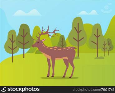 Deer on pasture vector, animal with furry coat and horns in natural park. Forest with trees and hills, reservation of environment habitat for mammals. Natural Park with Biodiversity for Deer Animals