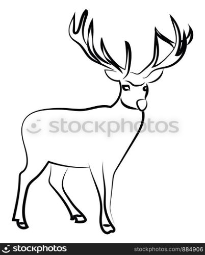 Deer sketch, illustration, vector on white background.