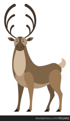 Deer with big horns, isolated wild animal. Doe with furry coat living in forest. Stag standing still. Brown woodland creature, fauna of woods. Elk or moose mammal design. Vector in flat style. Deer Wild Animal with Big Horns, Stag Wildlife