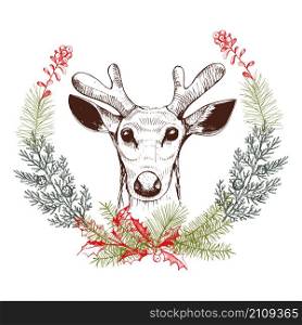 Deer with Christmas plants. Vector hand-drawn illustration.. Deer with Christmas plants.