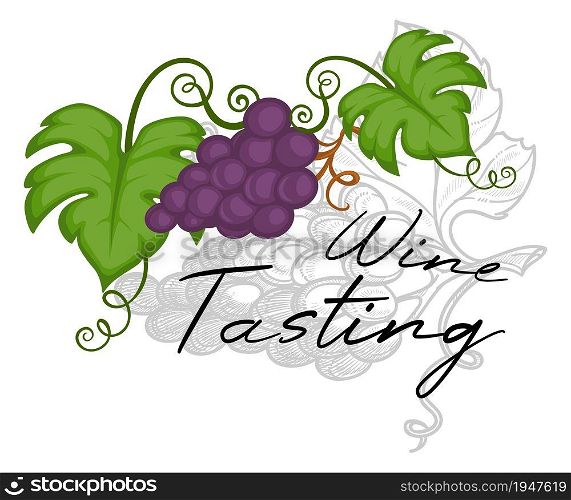 Degustation of alcoholic beverage, wine tasting and making drink from fresh grapes. Agriculture and production of cocktails. Rustic delicious recipe. Monochrome sketch outline, vector in flat style. Wine tasting and alcoholic beverage degustation