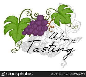 Degustation of alcoholic beverage, wine tasting and making drink from fresh grapes. Agriculture and production of cocktails. Rustic delicious recipe. Monochrome sketch outline, vector in flat style. Wine tasting and alcoholic beverage degustation