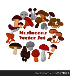 Delicacies fresh edible mushrooms vector set. Mushrooms of collection in round form illustration. Delicacies fresh edible mushrooms vector set