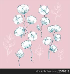 Delicate natural set of sketches of cotton plant and stems with foliage on a pink background. Vector gentle herbal image with stems with fluffy balls isolated from background.. Delicate natural set of sketches of cotton plant and stems with foliage on a pink background. Vector gentle herbal image with stems with fluffy balls