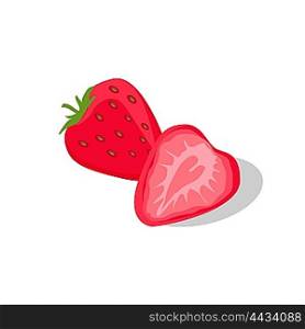 Delicious and Juicy Stawberry. One delicious and juicy red stawberry isolated on white background. Vector illustration