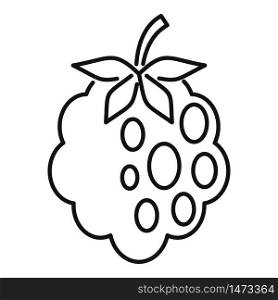 Delicious blackberry icon. Outline delicious blackberry vector icon for web design isolated on white background. Delicious blackberry icon, outline style
