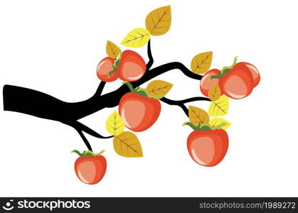 Delicious bright orange ripe persimmon fruits on branch illustration.