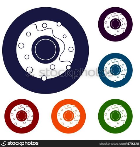 Delicious donut dessert icons set in flat circle red, blue and green color for web. Delicious donut dessert icons set