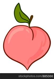 Delicious pink peach, illustration, vector on white background.