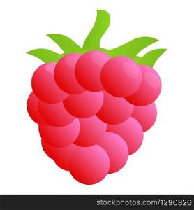Delicious raspberry icon. Cartoon of delicious raspberry vector icon for web design isolated on white background. Delicious raspberry icon, cartoon style
