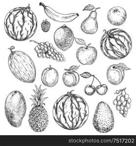 Delicious summer fruits vintage engraving sketches with orange apple grape banana lemon pear mango pineapple peach raspberry watermelon avocado cherry plum melon and apricot. Agriculture harvest design usage. Delicious fresh harvested summer fruits sketches