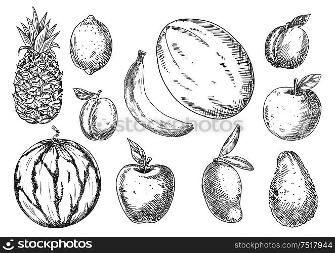 Delicious vegetarian dessert ingredients icon with sketch symbols of banana, mango and pineapple, lemon and avocado, apples and peach, watermelon, plum and canary melon fruits. Delicious tropical and local fruits sketch icons