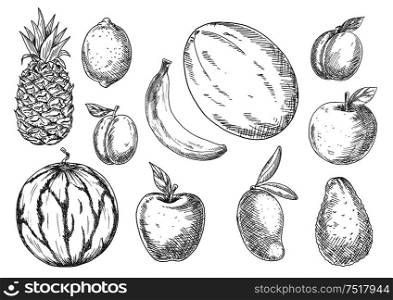 Delicious vegetarian dessert ingredients icon with sketch symbols of banana, mango and pineapple, lemon and avocado, apples and peach, watermelon, plum and canary melon fruits. Delicious tropical and local fruits sketch icons