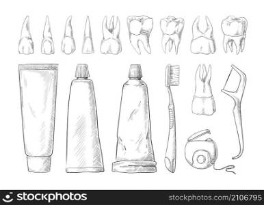 Dental hygiene sketch. Hand drawn human teeth types with toothbrush and toothpaste tubes. Toothpick and dentistry floss. Oral health care tools. Vector isolated black and white medical elements set. Dental hygiene sketch. Hand drawn human teeth types with toothbrush and toothpaste. Toothpick and dentistry floss. Oral health care tools. Vector black and white medical elements set