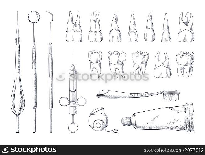 Dentist sketch. Hand drawn stomatology equipment vintage engraving with different teeth types. Toothpaste and toothbrush. Dental floss. Medical exam instruments. Vector isolated dentistry tools set. Dentist sketch. Hand drawn stomatology equipment vintage engraving with different teeth types. Toothpaste and toothbrush. Dental floss. Medical instruments. Vector dentistry tools set
