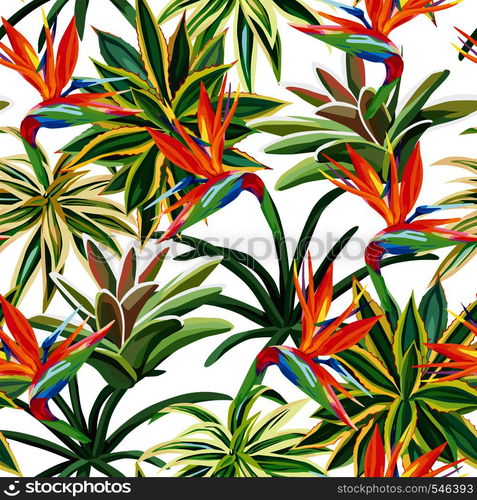 Desert plant cactus tropical flower bird of paradise seamless pattern white background. Beach vector wallpaper