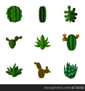 Desert plant icons set. Cartoon set of 9 desert plant vector icons for web isolated on white background. Desert plant icons set, cartoon style