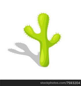 Desert plant with spikes, isolated Mexican cactus with spikes vector. Flora and biology species, fiesta or Cinco de Mayo holiday natural symbol, summer. Mexican Cactus with Spikes, Isolated Desert Plant