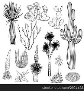 Desert plants, cacti. Vector sketch illustration.. Desert plants, cacti.