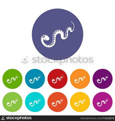 Desert snake icons color set vector for any web design on white background. Desert snake icons set vector color